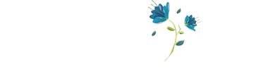 Logo Villagio Blue